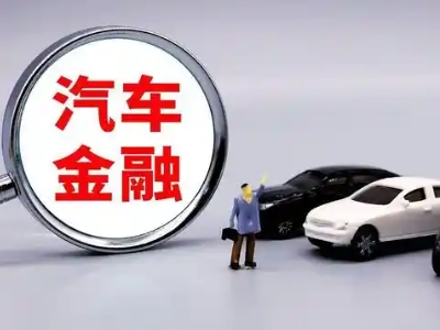 南湖押车贷款不是本人可以么?
